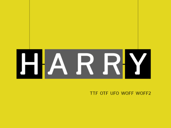 Harry: The Minimal Display Font for Modern Web Design